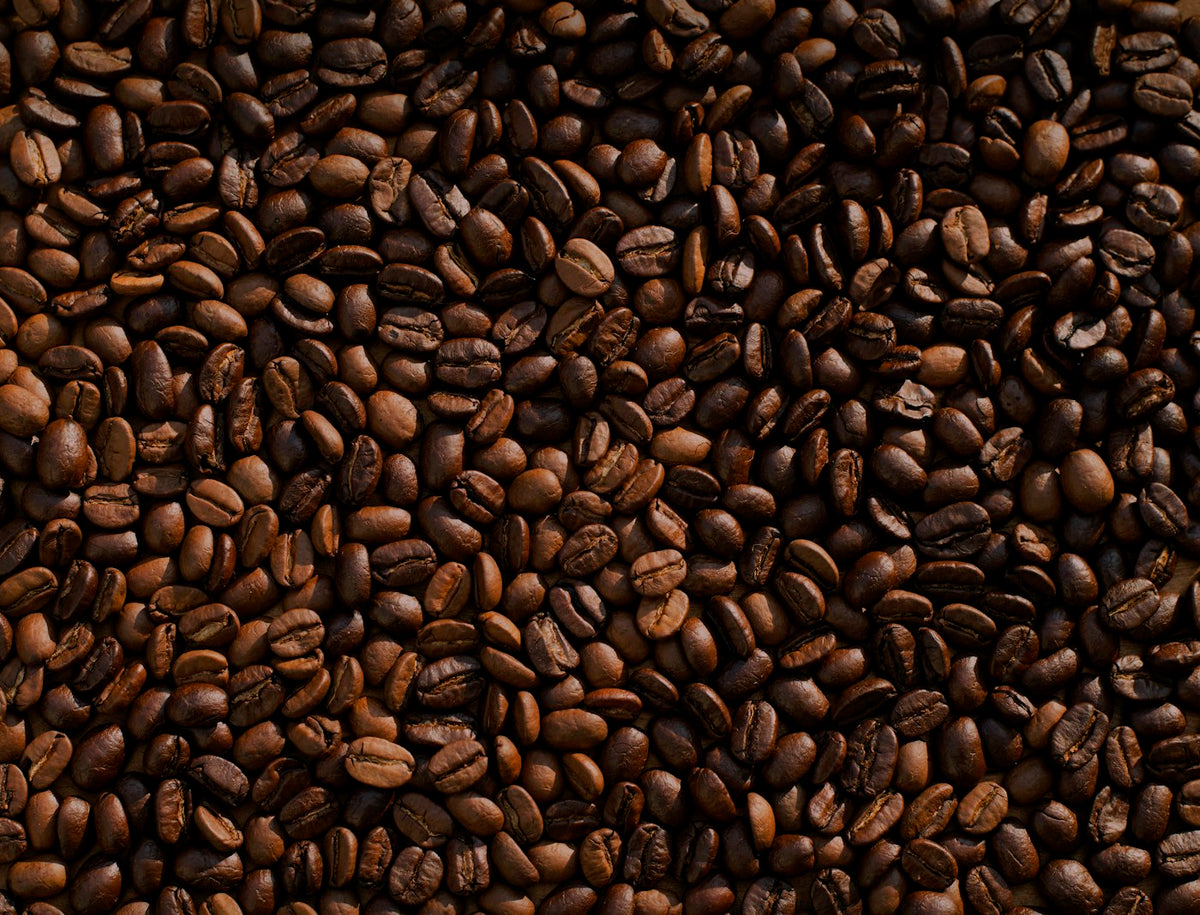 Close-up of roasted whole coffee beans